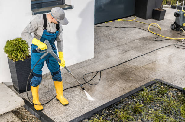 Best Roof Power Washing Services  in Dudley, NC